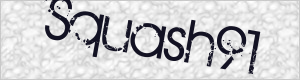 Captcha nicht korrekt geladen?